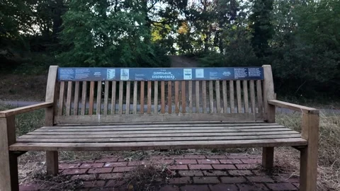 A serene, empty wooden bench in Crystal Palace Park with historical 'Dinosaur Stock Footage 341370121
