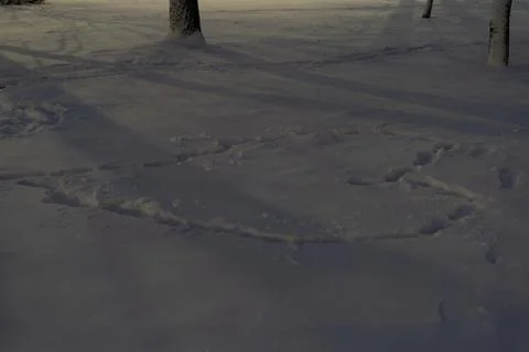 Serene Evening Snow Patterns Resembling an Angel Stock Photos
