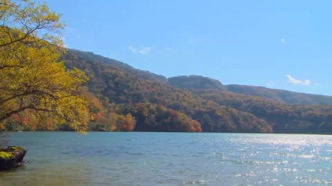 Serene Fall Foliage on Mountain Ridge Stock Footage 346195851