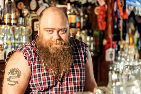 Serene fat barkeeper locating in dramshop Stock Photos