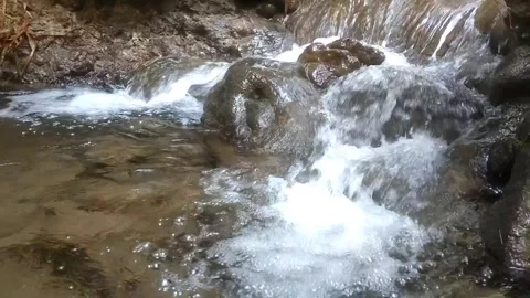 The Serene Flow of Hathni Mata 库存影片 334590309