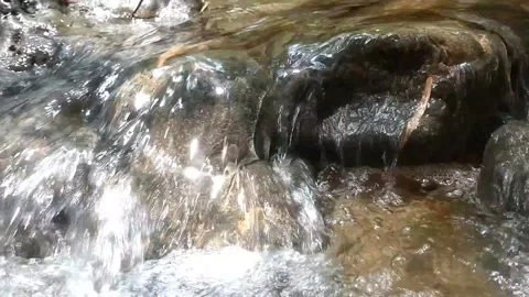 The Serene Flow of a Mountain Stream Video stock 332156862