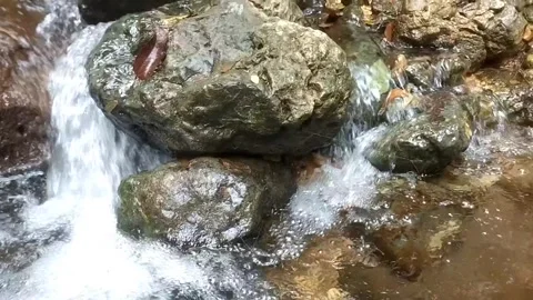 The Serene Flow of a Mountain Stream Stock Footage 332917459