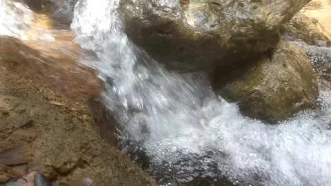 The Serene Flow of the Mountain Stream 스톡 동영상 334102757