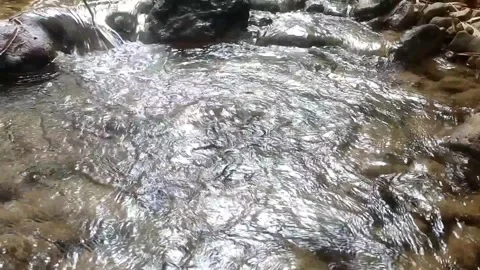 The Serene Flow of Nature 스톡 동영상 333156921