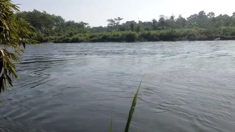 The Serene Flow of the River 스톡 동영상 336165288