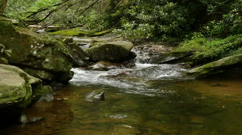 Serene flowing mountain stream Видео 51678013