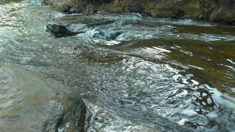 Serene Flowing Stream of Kbal Chay Waterfall in Cambodia's Nature Vídeos de archivo 332678776