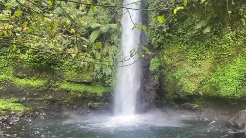 Serene flowing stream in the middle of forest trekking path hiking path and smal Stock Footage 287448864
