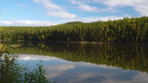 Serene Forest and Lake Reflection Landscape Stock Footage 325465006