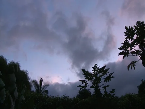 Serene forest cloudy sky timelapse Stock Footage 74094770