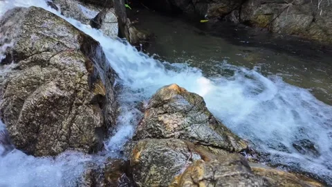 Serene Forest Creek Waterfall for Environmental Themes Stock Footage 274259529