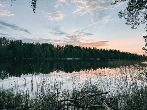 Serene Forest Lake Reflection at Sunset in Northern Wilderness Stock Photos
