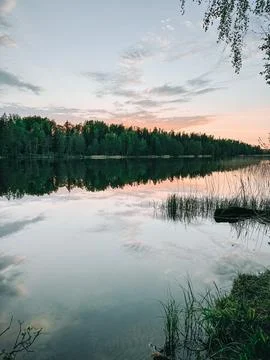 Serene Forest Lake Reflection at Sunset in Nordic Wilderness Photos