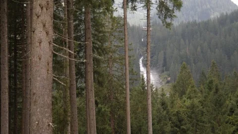 A Serene Forest Landscape Featuring a Gentle Waterfall in the Background and Stock Footage 292798976