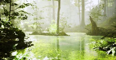 Serene forest landscape with tranquil pond and lush greenery at dawn Ilustración de archivo