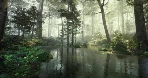 Serene forest landscape with water reflections in a tranquil environment Stock Illustration
