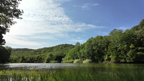 Serene Forest Path with Natural Ambience – 2 Minutes Stock Footage 312038032