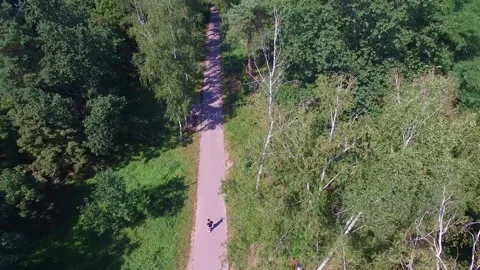A serene forest path in summer from above, showing greenery, trees, and natures Stock-Footage 276543131