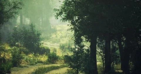 Serene forest pathway illuminated by soft light in early morning hours Stock Illustration