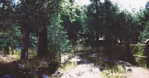 Serene forest pathway surrounded by trees and sunlight in a tranquil setting Illustrazione stock