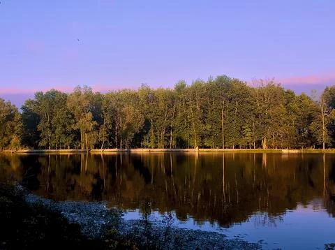Serene Forest Reflection Stock Photos