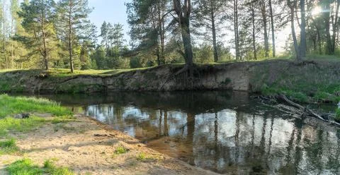 A serene forest river flows gently through a lush landscape, illuminated by.. Stock Photos