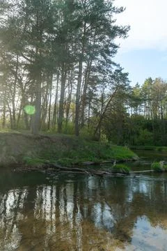 A serene forest river flows gently through a lush landscape, illuminated by.. Stock Photos