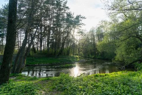 A serene forest river flows gently through a lush landscape, illuminated by.. Stock Photos