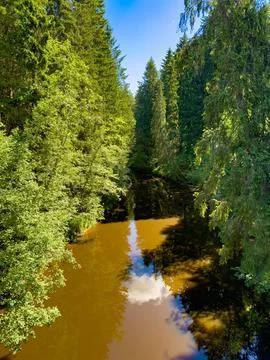 Serene Forest River with Reflections Foto stock