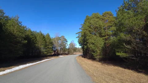 Serene forest road in early spring Stock Footage 269977464