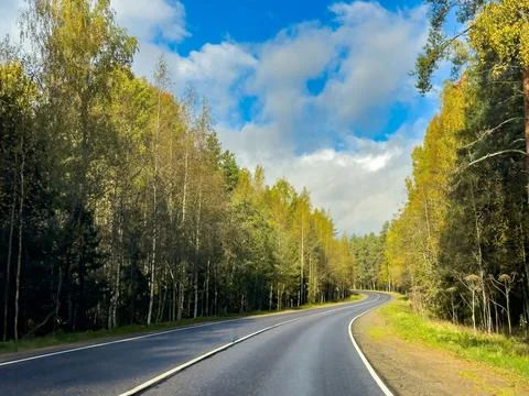 Serene Forest Road Winding Through Autumn Foliage in Karelia Foto stock