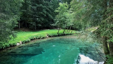 Serene forest stream, crystal clear water, peaceful nature scene Video stock 311104806