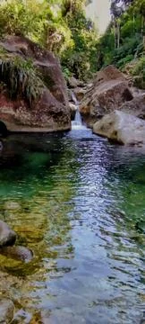 Serene forest stream with crystal clear waters cascading over smooth rocks Stock Photos