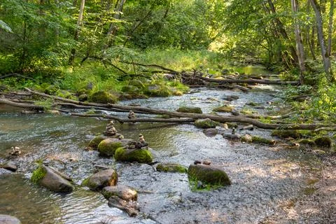 Serene Forest Stream Flowing Through Lush Greenery With Stacked Stones. Riv.. Stock Photos