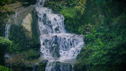 Serene Forest Stream with Flowing Water Over Mossy Rocks 4K Footage Stock Footage 319613623