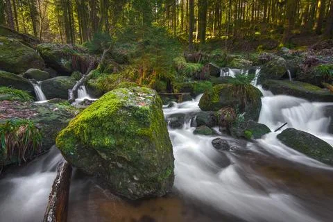 Serene forest stream flows smoothly over moss-covered rocks in the Black Forest Foto stock