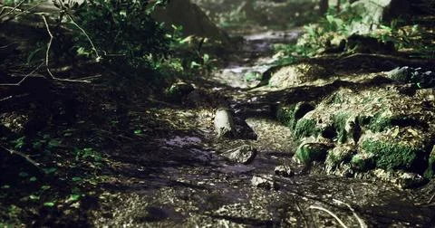Serene forest stream with lush greenery and gentle water flow in nature Stock Illustration