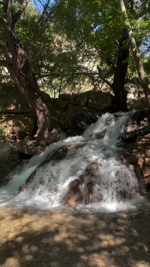 Serene Forest Waterfall and Pool 库存影片 340871701