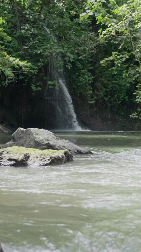A Serene Forest Waterfall with a Calm River Flow and Beautiful Lush Green Video stock 308742822