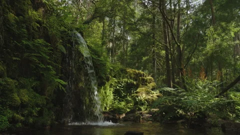 Serene forest waterfall cascading over mossy rocks in a lush, green woodland Stockbeeldmateriaal 336203488