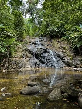 Serene Forest Waterfall Foto stock