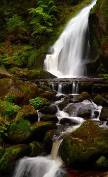 Serene Forest Waterfall Stock Photos