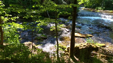 Serene forest waterfall in sunlight Stock Footage 269954666