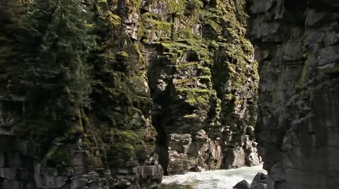 Serene forested cliff (pan up). Stock Footage 50062179