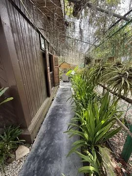 Serene Garden Pathway Beside a Rustic Wooden House Stock Photos