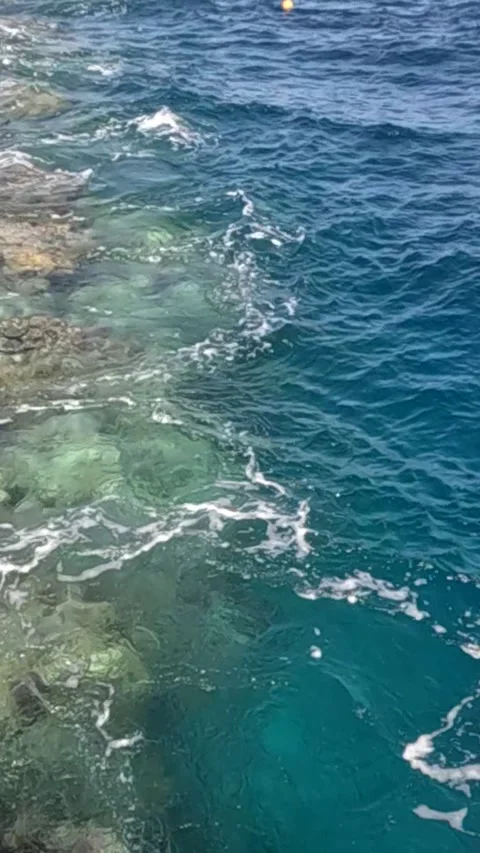 A Serene Glimpse of Crystal Clear Waters and Vibrant Marine Life Beneath, 库存影片 330097404