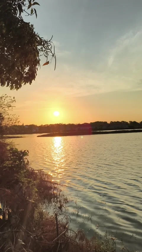 Serene Golden Sunset Reflection on Calm River Water Video stock 340489853