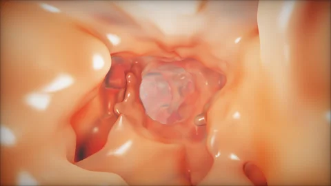 Serene Gradient Path Stock Footage 291072978