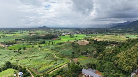 Serene Green Fields Before a Rainstorm Stock Footage 315877787